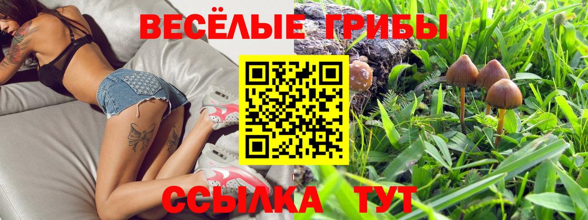 Псилоцибиновые грибы Psilocybe Гуково