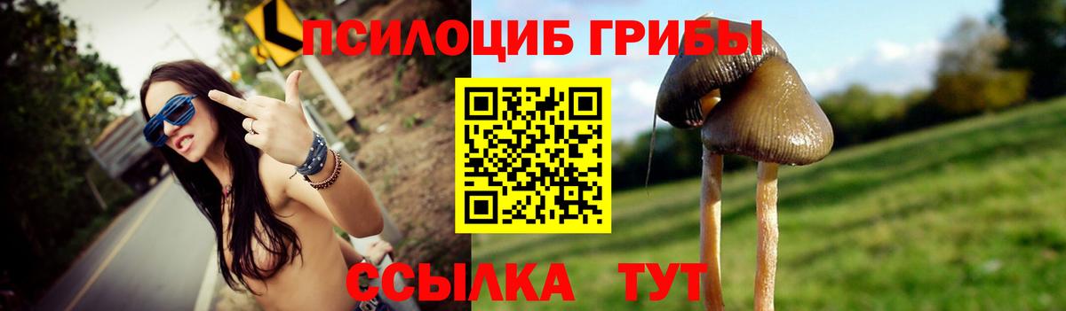 Галлюциногенные грибы Psilocybe  Галлюциногенные грибы GOLDEN TEACHER  Гуково  где найти   Вход с VPN 